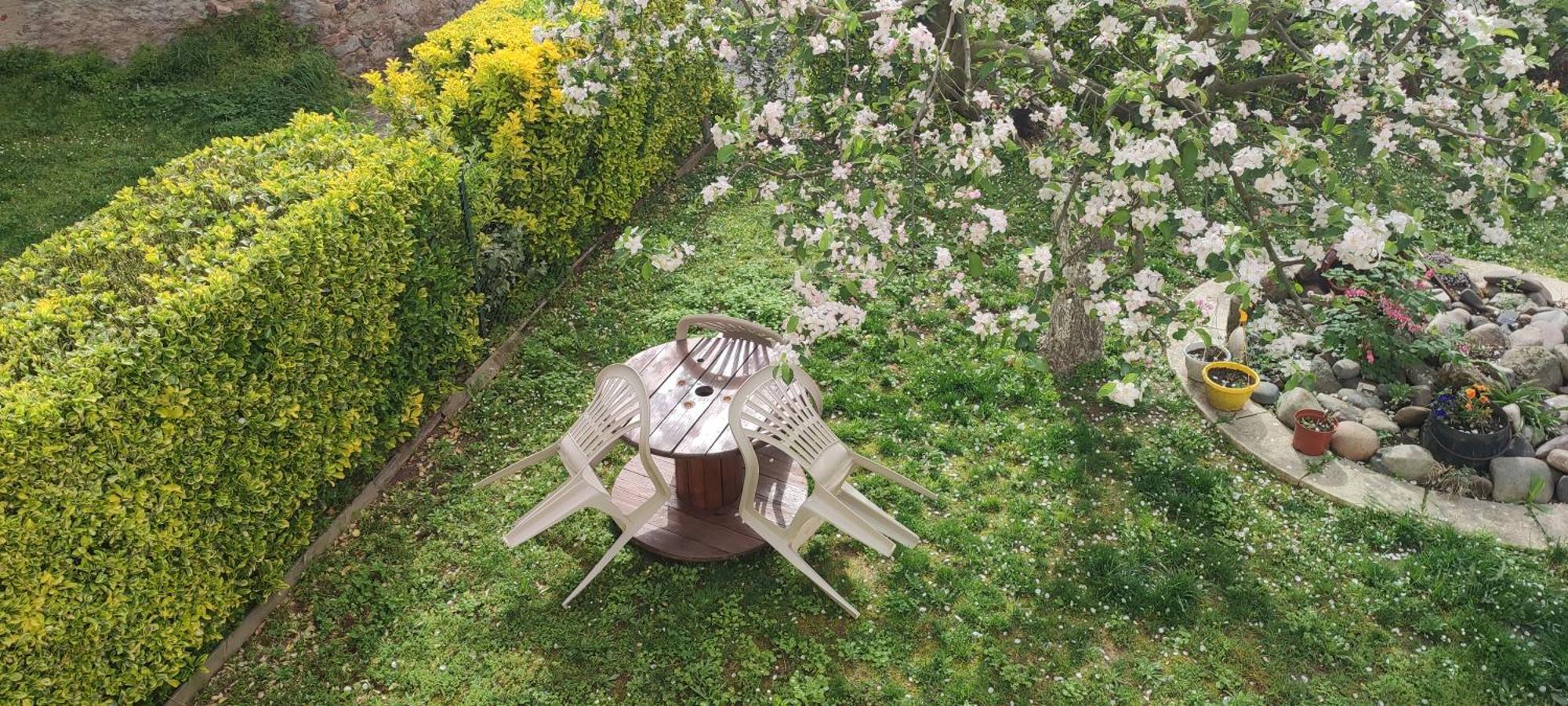 La Maison Du Pecheur Livinhac-le-Haut Kültér fotó